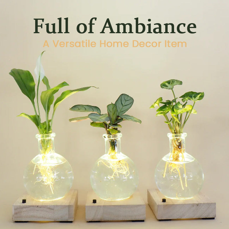 LED Hydroponic Plant Vase（The set includes 1 LED base + 1 vase）