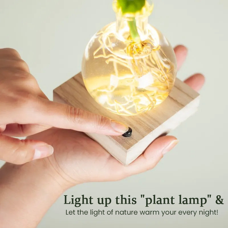 LED Hydroponic Plant Vase（The set includes 1 LED base + 1 vase）